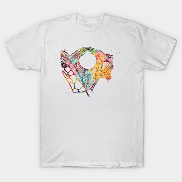 Eye Anatomy T-Shirt by erzebeth